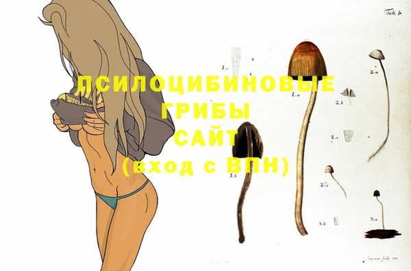 круглые Струнино
